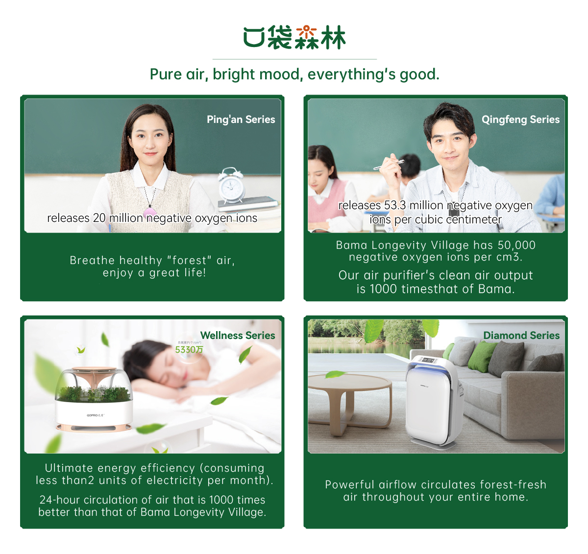 口袋丛林-纯英文.jpg